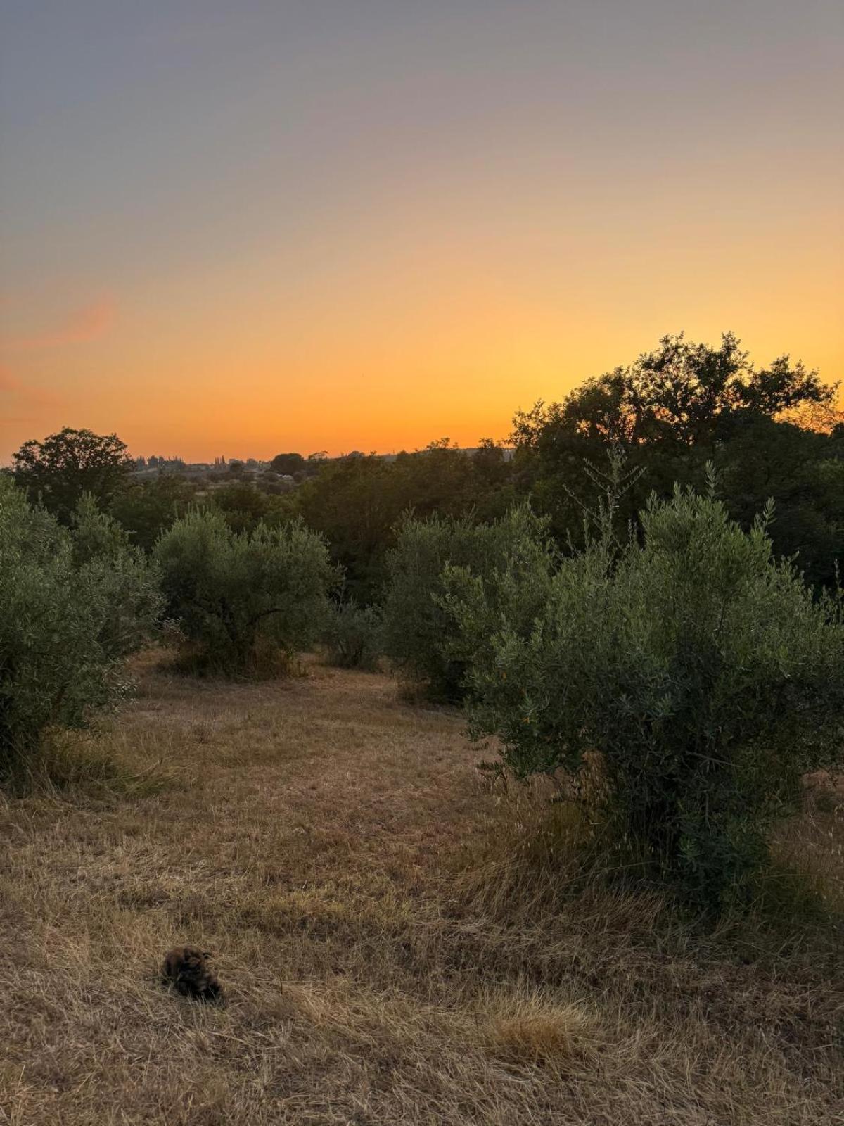 Cascina De' Fagiolari Casa rural Lastra a Signa